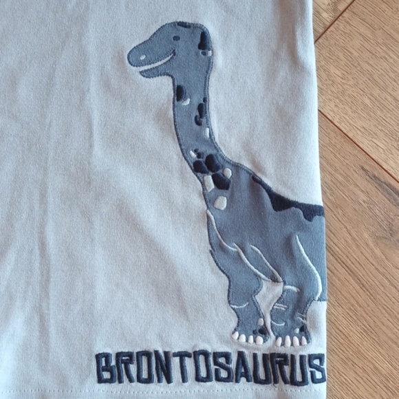 Gymboree Dinosaur Pajama Set - Picture 6 of 8